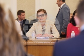 Парламент - Комисия по външна политика