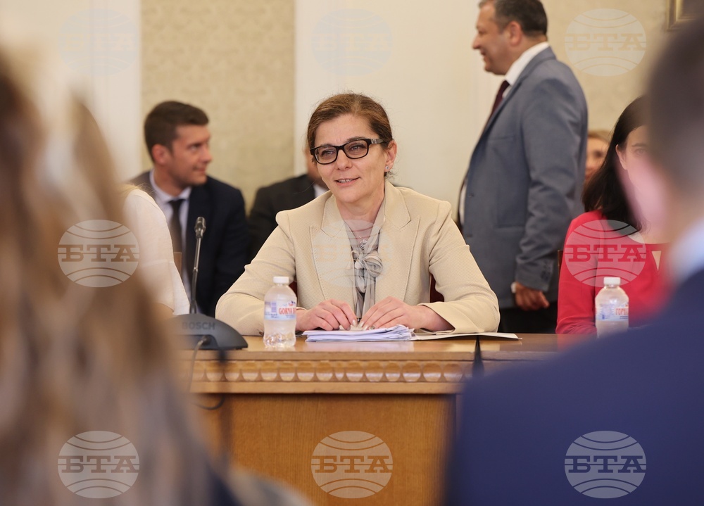 Парламент - Комисия по външна политика