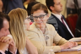 Парламент - Комисия по външна политика