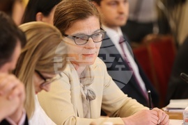 Парламент - Комисия по външна политика