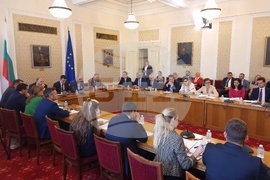 Парламент - Комисия по външна политика