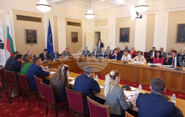 Парламент - Комисия по външна политика