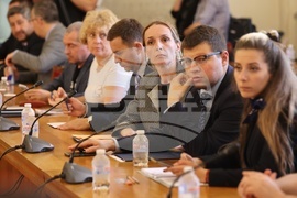 Парламент - Комисия по външна политика