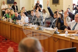 Парламент - Комисия по външна политика