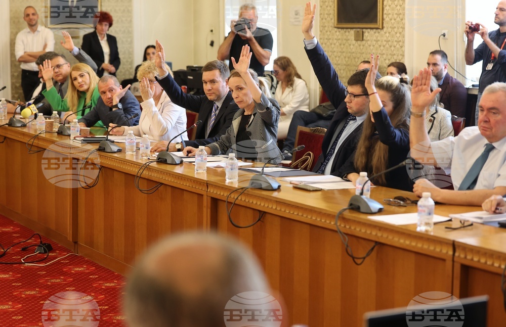Парламент - Комисия по външна политика
