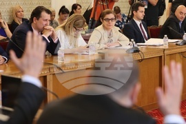 Парламент - Комисия по външна политика