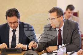 Парламент - Комисия по външна политика