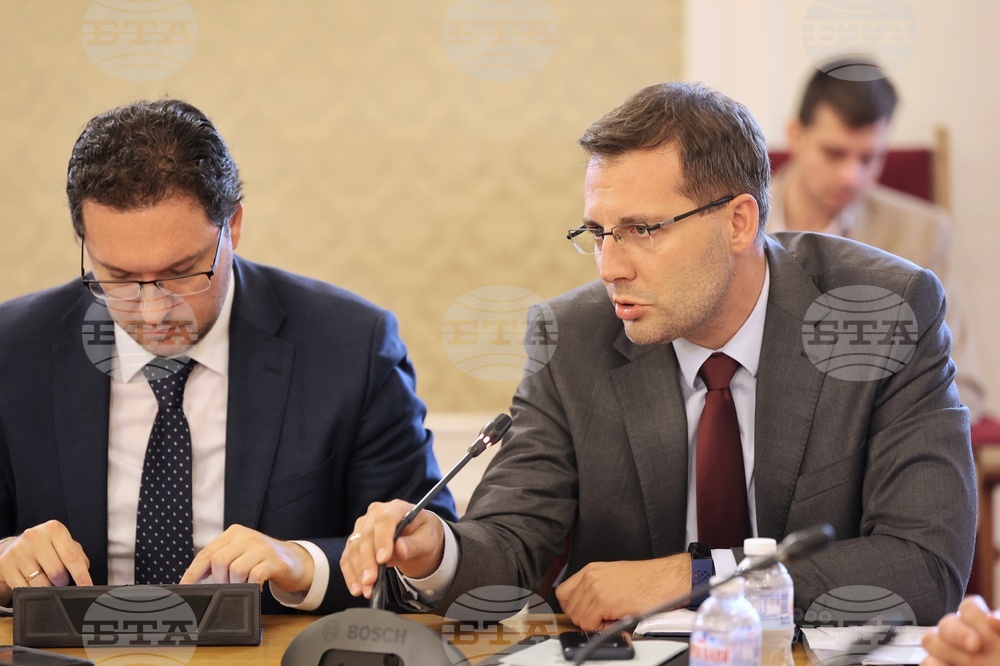 Парламент - Комисия по външна политика