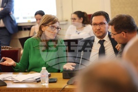 Парламент - Комисия по външна политика