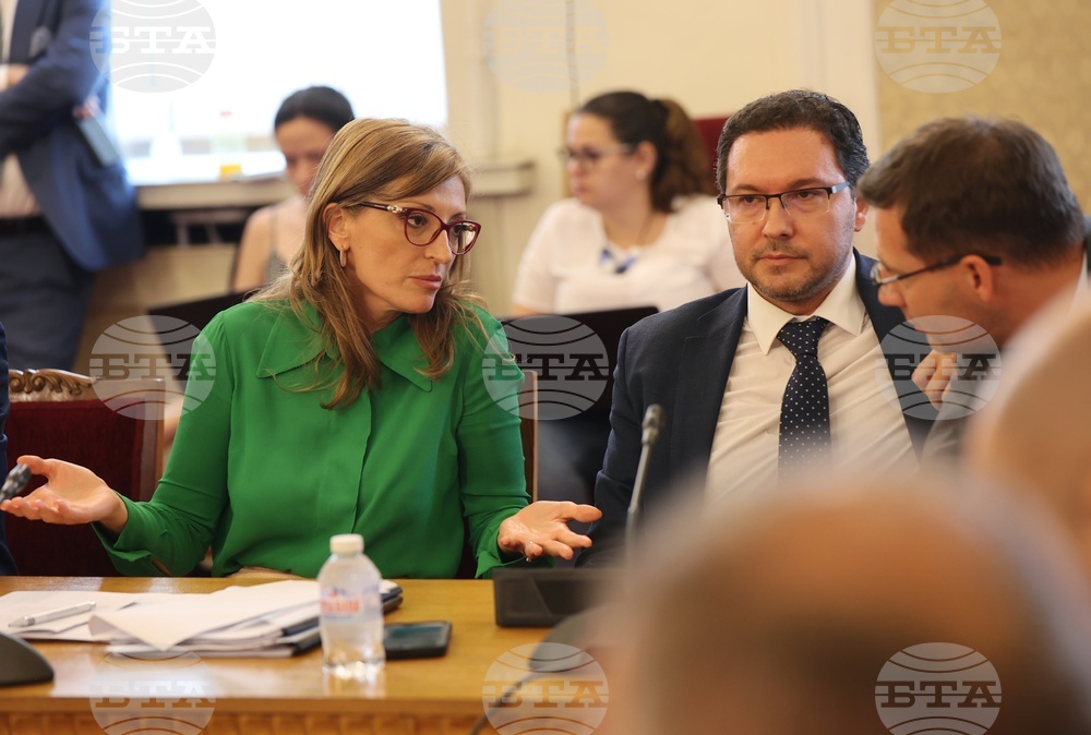 Парламент - Комисия по външна политика
