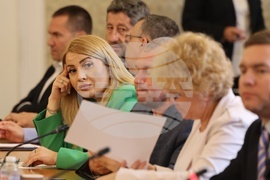 Парламент - Комисия по външна политика