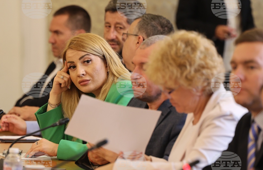 Парламент - Комисия по външна политика