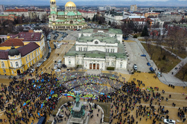 СФСМВР - протест
