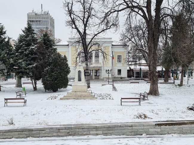 Видин - първи сняг