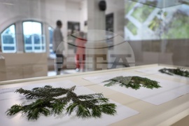 Регионален исторически музей - изложба