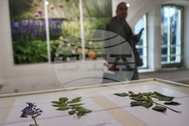 Регионален исторически музей - изложба