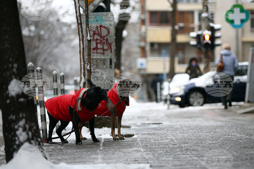 Студено време