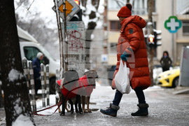 Студено време