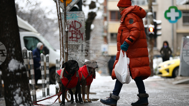 Жълт код за студено време е обявен за днес в цялата страна