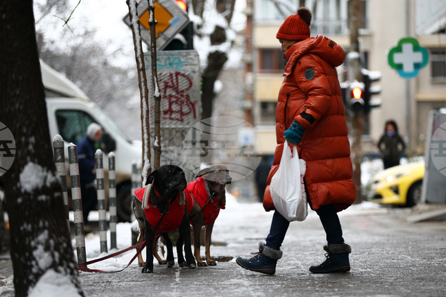 Жълт код за студено време е обявен за днес в цялата страна