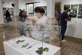 Регионален исторически музей - изложба