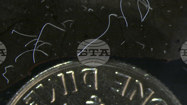 Сладководни микроорганизми от Швеция подобряват разбирането за еволюцията на бактериите, показва изследване