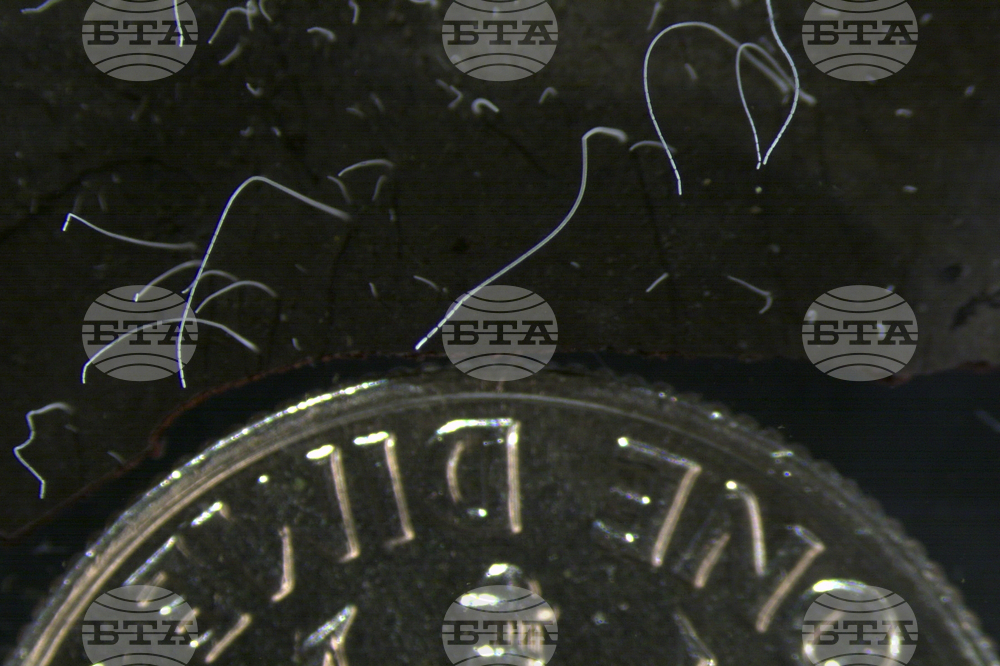 Сладководни микроорганизми от Швеция подобряват разбирането за еволюцията на бактериите, показва изследване