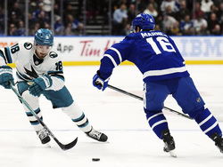 Sharks Maple Leafs Hockey