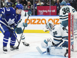 Sharks Maple Leafs Hockey