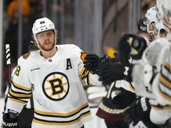 Bruins Coyotes Hockey