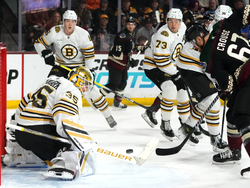 Bruins Coyotes Hockey