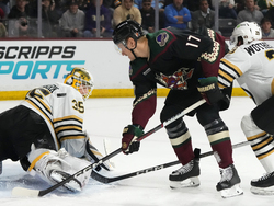 Bruins Coyotes Hockey