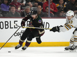 Bruins Coyotes Hockey