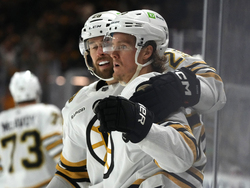 Bruins Coyotes Hockey