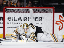 Bruins Coyotes Hockey
