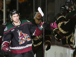 Bruins Coyotes Hockey