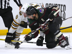 Bruins Coyotes Hockey