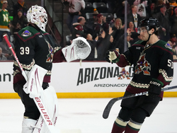 Bruins Coyotes Hockey