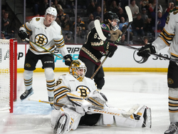 Bruins Coyotes Hockey