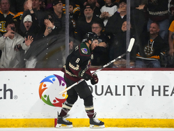 Bruins Coyotes Hockey