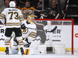Bruins Coyotes Hockey