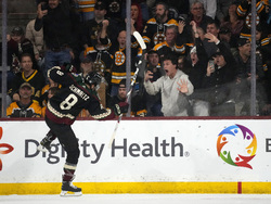 Bruins Coyotes Hockey