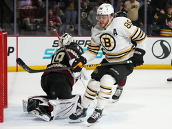 Bruins Coyotes Hockey