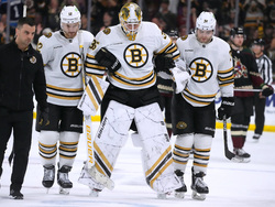 Bruins Coyotes Hockey