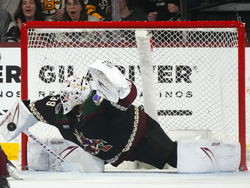 Bruins Coyotes Hockey