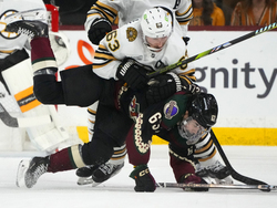 Bruins Coyotes Hockey
