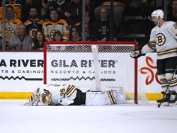 Bruins Coyotes Hockey