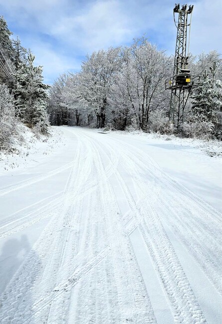 Община Асеновград: Опесъчават се пътищата в планинската част на община Асеновград