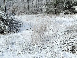 Снимка: Община Асеновград