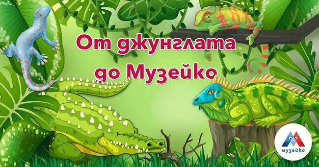 СО: "От джунглата до Музейко" - екзотични влечуги гостуват в Общински културен институт Научно - образователен детски център "Музейко"